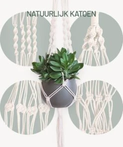 Gadgy Plantenhanger Macramé 3 Stuks - Luxe Gevlochten Touw Katoen - Plantenpot Ophangen - Hangpot 13 Gadgy Plantenhanger Macramé 3 Stuks - Luxe Gevlochten Touw Katoen - Plantenpot Ophangen - Hangpot -Tuin Kweekbenodigdheden 1000x1200 6