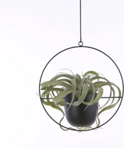 Mica Decorations Dexter Bloempot Hangend - L34 X B14 X H65 Cm - Zwart -Tuin Kweekbenodigdheden 1002x1200