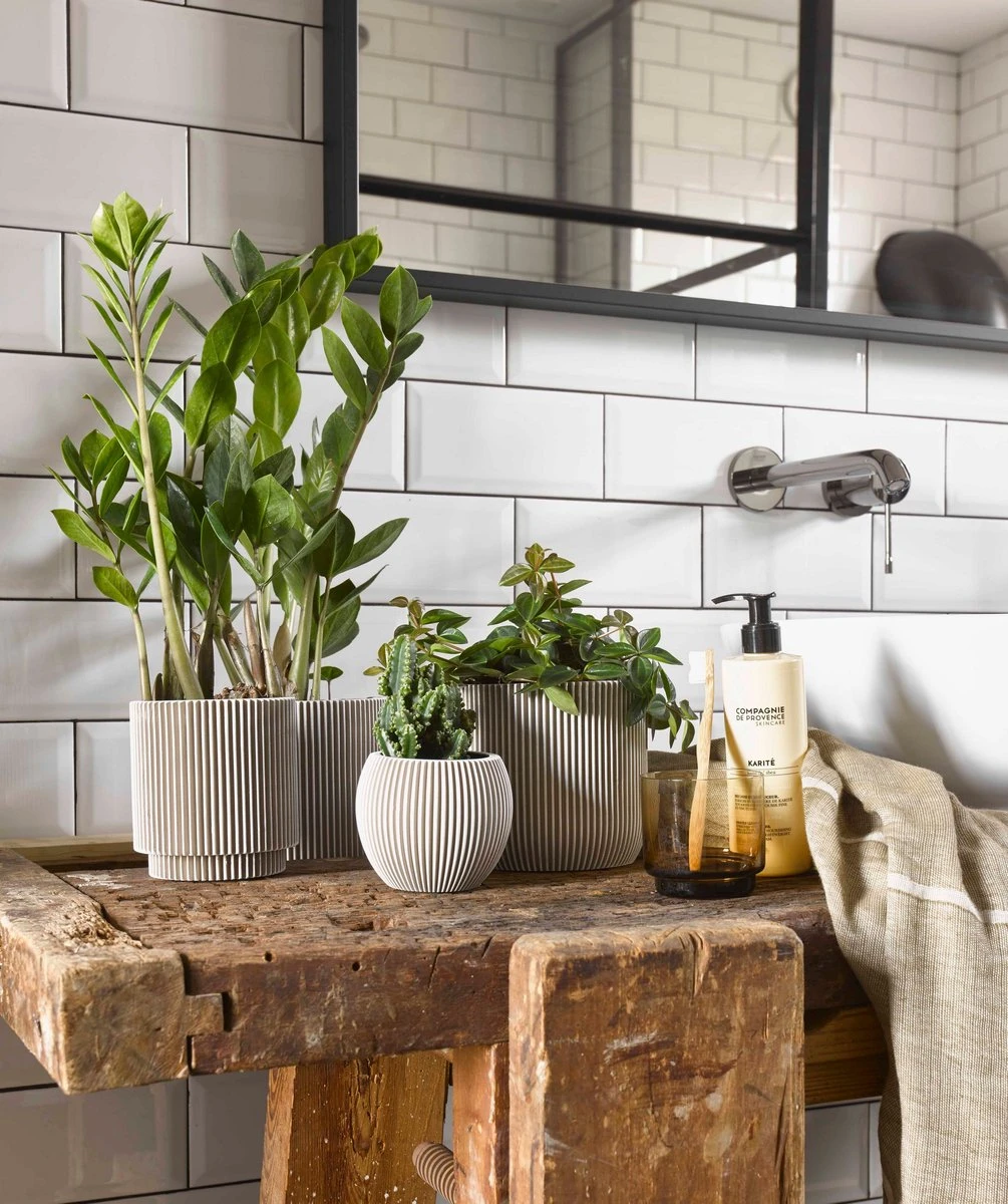 Capi Europe - Set Van 4 - Bloempot Binnen - Groove - - Ivoor - Bloempot Voor Binnen - BOX-BGVI-4 5 Capi Europe - Set Van 4 - Bloempot Binnen - Groove - - Ivoor - Bloempot Voor Binnen - BOX-BGVI-4 - Afbeelding 3