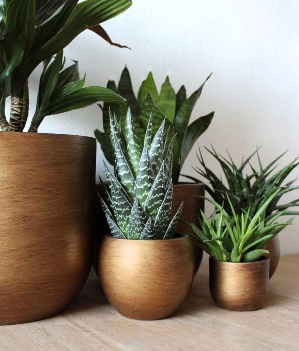 Capi Europe - Bloempot Bol Retro XL - 42x41 - Goud - Bloempot Voor Binnen - Opening ⌀36 - RTG933 5 Capi Europe - Bloempot Bol Retro XL - 42x41 - Goud - Bloempot Voor Binnen - Opening ⌀36 - RTG933 - Afbeelding 3