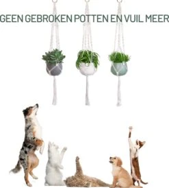 Gadgy Plantenhanger Macramé 3 Stuks - Luxe Gevlochten Touw Katoen - Plantenpot Ophangen - Hangpot 16 Gadgy Plantenhanger Macramé 3 Stuks - Luxe Gevlochten Touw Katoen - Plantenpot Ophangen - Hangpot -Tuin Kweekbenodigdheden 1080x1200 1
