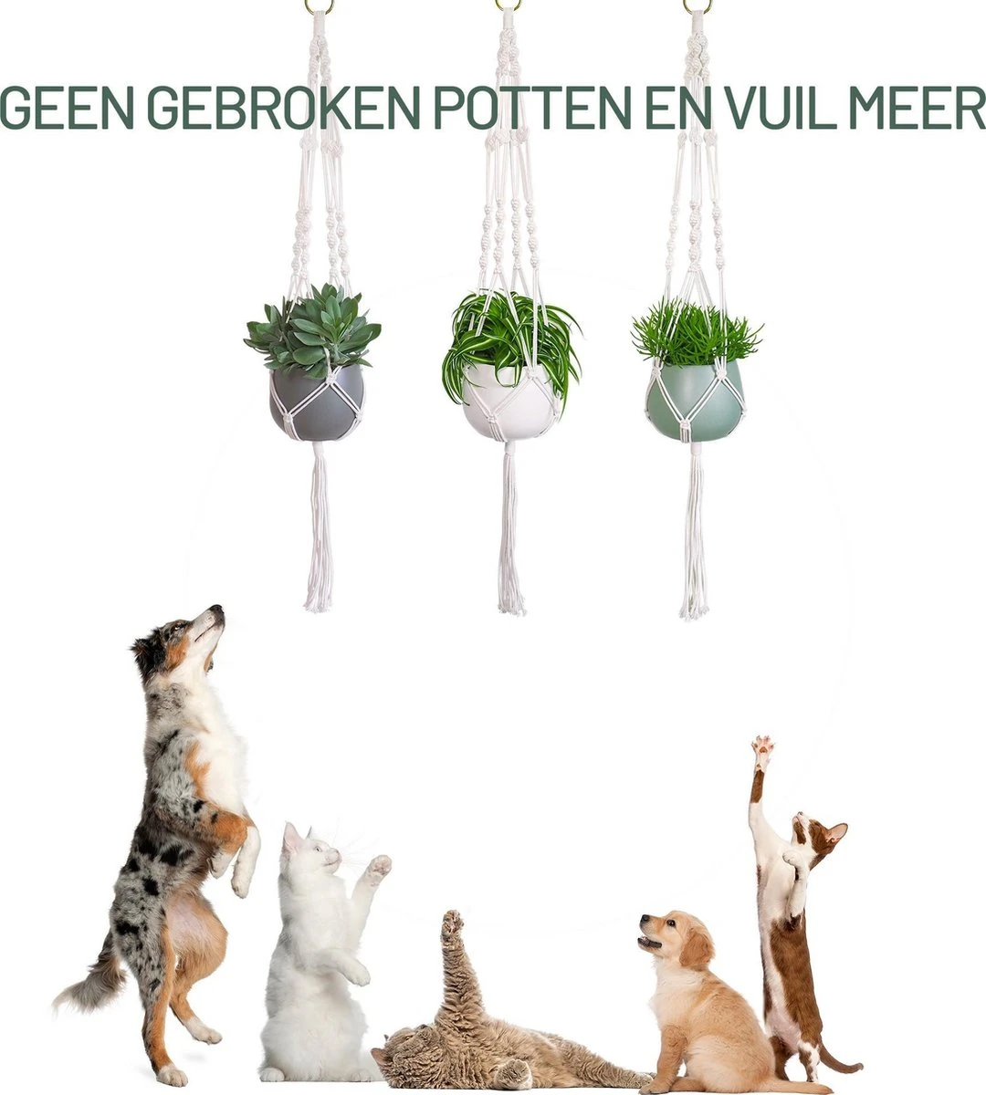 Gadgy Plantenhanger Macramé 3 Stuks - Luxe Gevlochten Touw Katoen - Plantenpot Ophangen - Hangpot 9 Gadgy Plantenhanger Macramé 3 Stuks - Luxe Gevlochten Touw Katoen - Plantenpot Ophangen - Hangpot - Afbeelding 7