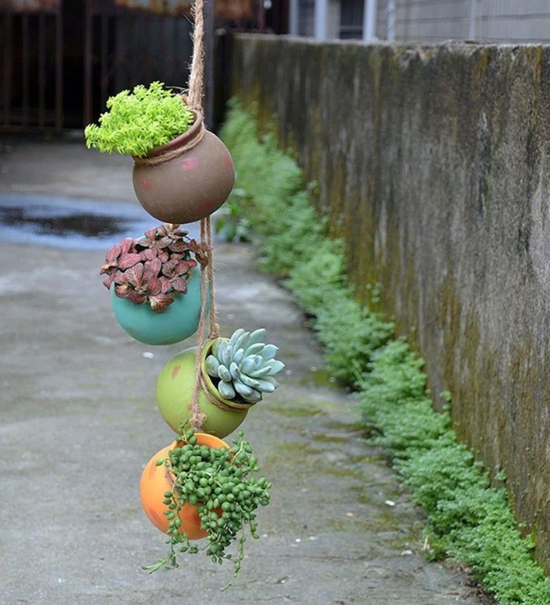 Plantenhangers - 4 Bloempotjes Aan Een Touw - Hangpotten Voor Binnen En Buiten - Hangpot Schutting - 4 Kleuren Incl. Touw 5 Plantenhangers - 4 Bloempotjes Aan Een Touw - Hangpotten Voor Binnen En Buiten - Hangpot Schutting - 4 Kleuren Incl. Touw - Afbeelding 3