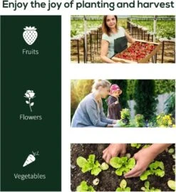 Tunnelkas - Tuinkas - Kweekkas - Broeikas - Kweektent - Kas - 200 X 100 X 80 Cm - Transparant 14 Tunnelkas - Tuinkas - Kweekkas - Broeikas - Kweektent - Kas - 200 X 100 X 80 Cm - Transparant -Tuin Kweekbenodigdheden 1098x1200 3