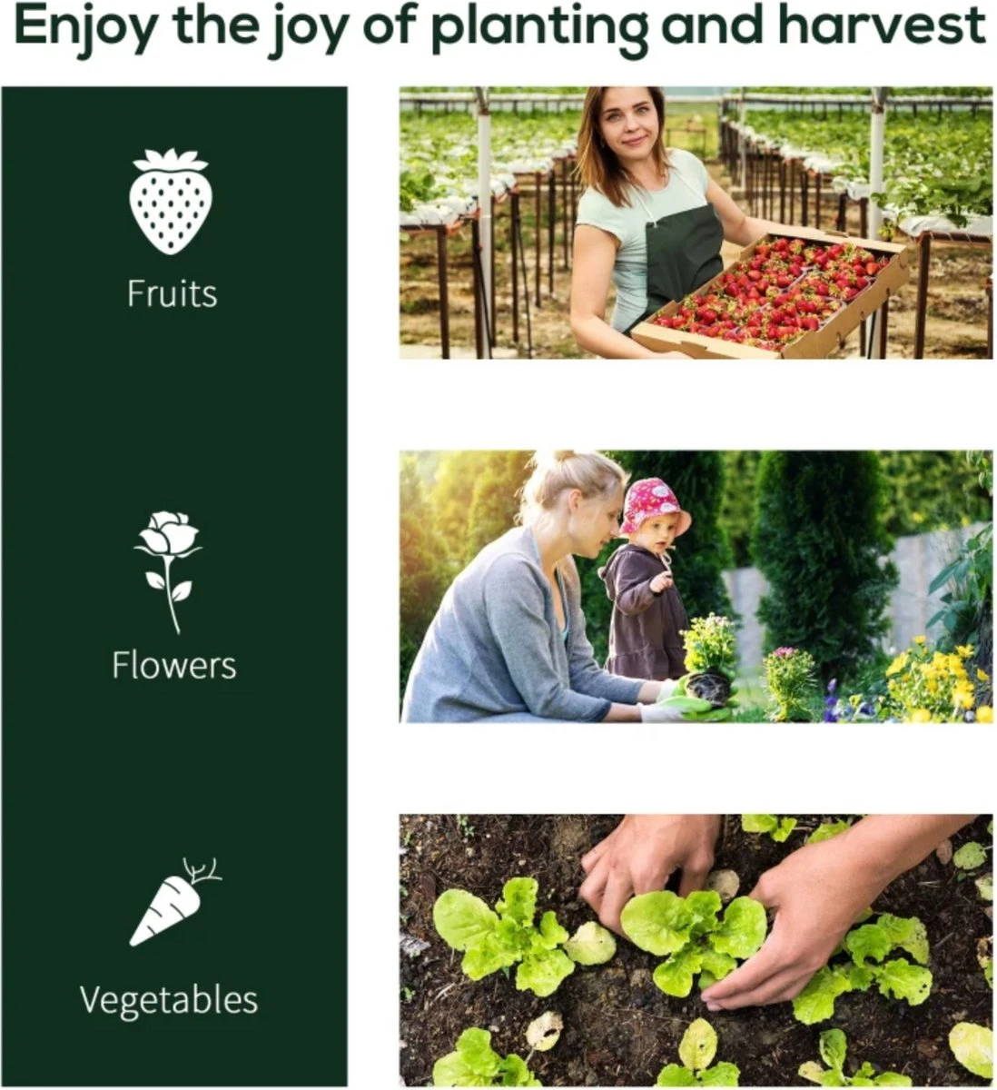 Tunnelkas - Tuinkas - Kweekkas - Broeikas - Kweektent - Kas - 200 X 100 X 80 Cm - Transparant 6 Tunnelkas - Tuinkas - Kweekkas - Broeikas - Kweektent - Kas - 200 X 100 X 80 Cm - Transparant - Afbeelding 4