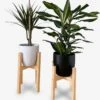 Plantenstandaard | Set Van 2 | Diameter Tot 24 Cm | Plantenkruk | Bloempotten Voor Binnen | Plantentafeltje Voor Binnen | Bloempot Standaard | Plantenstandaard Binnen | Hout | Licht Bruin -Tuin Kweekbenodigdheden 1111x1200 1