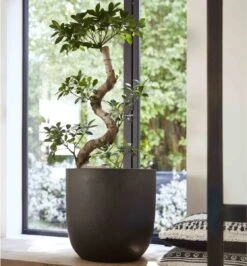 Capi Europe - Bloempot Bol Smooth NL - 35x34 - Zwart - Voor Binnen En Buiten - KBL932 24 Capi Europe - Bloempot Bol Smooth NL - 35x34 - Zwart - Voor Binnen En Buiten - KBL932 -Tuin Kweekbenodigdheden 1116x1200