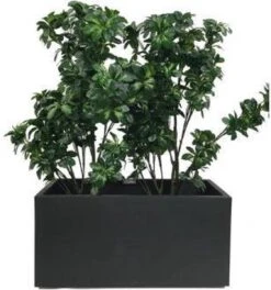 Elho Vivo Matt Finish Lang Wielen 90 - Grote Staande Plantenbak Voor Binnen & Buiten - Gemaakt Van Gereycled Plastic - L 39 X W 88 X H 41 Cm - Zwart 16 Elho Vivo Matt Finish Lang Wielen 90 - Grote Staande Plantenbak Voor Binnen & Buiten - Gemaakt Van Gereycled Plastic - L 39 X W 88 X H 41 Cm - Zwart -Tuin Kweekbenodigdheden 1124x1200 4