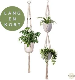 Plantenhanger Macrame Set Van 2 - Plantenhanger Met Ruimte Voor 3 Potten - Luxe Gevlochten Touw 100% Katoen - Duurzaam - Plantenbakken - Bloempotten - Macramé Stijl Hanger Voor Bloempotten - Hangpot - Fienosa 10 Plantenhanger Macrame Set Van 2 - Plantenhanger Met Ruimte Voor 3 Potten - Luxe Gevlochten Touw 100% Katoen - Duurzaam - Plantenbakken - Bloempotten - Macramé Stijl Hanger Voor Bloempotten - Hangpot - Fienosa -Tuin Kweekbenodigdheden 1131x1200 2
