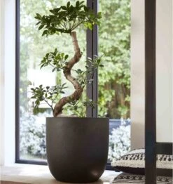 Capi Europe - Bloempot Bol Smooth NL - 43x41 - Zwart - Voor Binnen En Buiten - KBL933 21 Capi Europe - Bloempot Bol Smooth NL - 43x41 - Zwart - Voor Binnen En Buiten - KBL933 -Tuin Kweekbenodigdheden 1132x1200 10