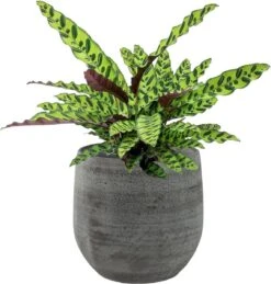 Merkloos Pot Esra Mystic Grey Bloempot Binnen 22 Cm -Tuin Kweekbenodigdheden 1144x1200