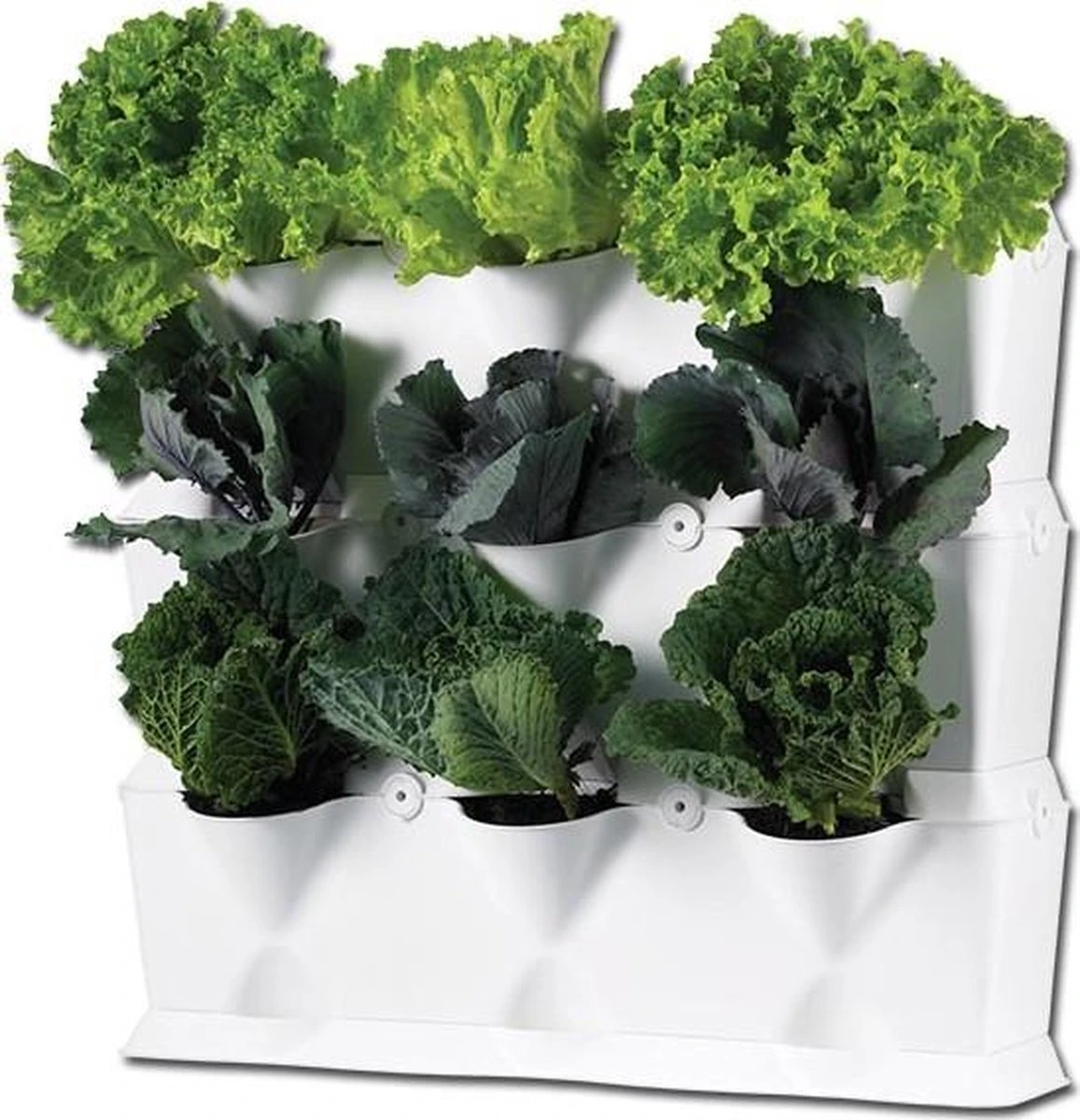 Minigarden Vertical Verticale Tuin - Wit 8 Minigarden Vertical Verticale Tuin - Wit - Afbeelding 6