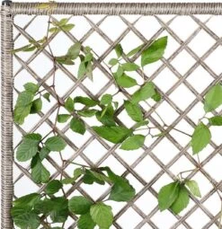 Casaria Polyrattan Bloembak – 3 Bakken Klimophek - Crème 16 Casaria Polyrattan Bloembak – 3 Bakken Klimophek - Crème -Tuin Kweekbenodigdheden 1163x1200 2