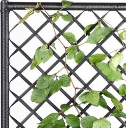 Casaria Polyrattan Plantenbak - Met Klimoprek - 3 Bakken Zwart 16 Casaria Polyrattan Plantenbak - Met Klimoprek - 3 Bakken Zwart -Tuin Kweekbenodigdheden 1174x1200 7