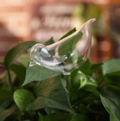 Waterdruppelaar Planten - Vorm Vogel - Set Van 3 Kunststof Druppelaars - 25cm Lengte - Genoeg Water Tijdens Je Vakantie 7 Waterdruppelaar Planten - Vorm Vogel - Set Van 3 Kunststof Druppelaars - 25cm Lengte - Genoeg Water Tijdens Je Vakantie -Tuin Kweekbenodigdheden 1190x1200 2