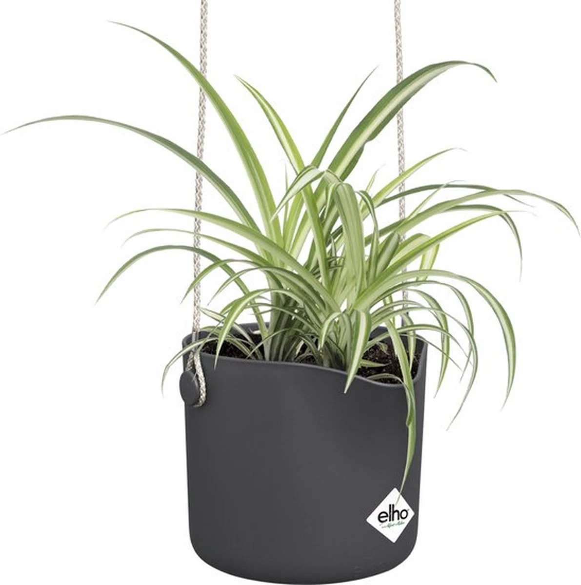 Elho B.for Swing 18 Hangpot - Bloempot Voor Binnen - Ø 18.0 X H 16.5 Cm - Zwart/Antraciet 13 Elho B.for Swing 18 Hangpot - Bloempot Voor Binnen - Ø 18.0 X H 16.5 Cm - Zwart/Antraciet - Afbeelding 11