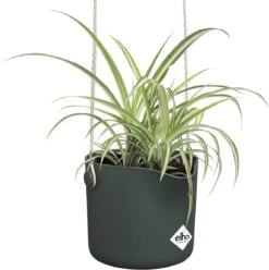 Elho B.for Swing 18 Hangpot - Bloempot Voor Binnen - Ø 18.0 X H 16.5 Cm - Groen/Blad Groen -Tuin Kweekbenodigdheden 1193x1200 5