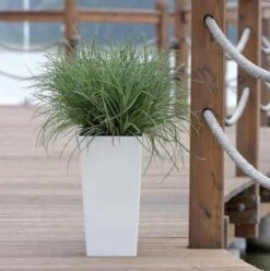 Prosperplast Kunststof Urbi Bloempot/plantenpot Met Binnenpot Wit 32 X 32 X 61 Cm - 21/49 Liter - Hoge Vierkante Bloempotten -Tuin Kweekbenodigdheden 1194x1200 1