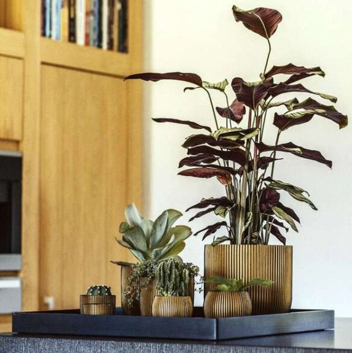 Capi Europe - Bloempot Bol Groove - 23x21 - Goud - Bloempot Voor Binnen - BGVGB134 12 Capi Europe - Bloempot Bol Groove - 23x21 - Goud - Bloempot Voor Binnen - BGVGB134 - Afbeelding 10