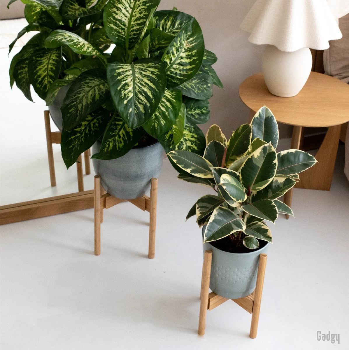 Gadgy Bamboe Plantenstandaard 2 St - Plantentafel - Plantentafeltje Voor Binnen - Plantenrek - Uitschuifbaar - Hout - Ø 20 Tot 30 Cm 10 Gadgy Bamboe Plantenstandaard 2 St - Plantentafel - Plantentafeltje Voor Binnen - Plantenrek - Uitschuifbaar - Hout - Ø 20 Tot 30 Cm - Afbeelding 8