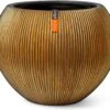 Capi Europe - Vaas Bol Groove XL - 63x51 - Goud - Bloempot Voor Binnen - Opening ⌀42 - GVGB271 2 Capi Europe - Vaas Bol Groove XL - 63x51 - Goud - Bloempot Voor Binnen - Opening ⌀42 - GVGB271 -Tuin Kweekbenodigdheden 1200x1071 2