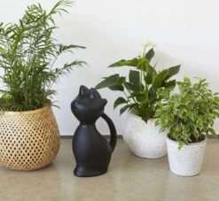 Balvi Meow! Kat Gieter - Zwart 12 Balvi Meow! Kat Gieter - Zwart -Tuin Kweekbenodigdheden 1200x1103
