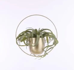 Mica Decorations Dexter Bloempot Wand - L34 X B14 X H34 Cm - Goud -Tuin Kweekbenodigdheden 1200x1137 1