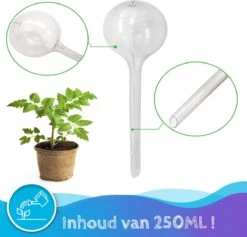 Summer Spark Waterdruppelaar Voor Planten 6 Stuks Transparant – 27 CM X 8 CM – 250 ML – Automatisch Watergeefsysteem Voor Kamerplanten – Planten Watergever Met Druppelsysteem – Waterbol 10 Summer Spark Waterdruppelaar Voor Planten 6 Stuks Transparant – 27 CM X 8 CM – 250 ML – Automatisch Watergeefsysteem Voor Kamerplanten – Planten Watergever Met Druppelsysteem – Waterbol -Tuin Kweekbenodigdheden 1200x1153