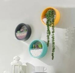 Ronde Muur Plantenbak Zwart - Decoratie - Planten - Interieur - Bloemen - Woondecoratie - Muurbekleding - -Tuin Kweekbenodigdheden 1200x1167 4