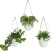 Gadgy Plantenhanger Keramiek - Set Van 3 - Hangpot Van Wit Steen - Hangende Bloempot Plantenpot - Met 3 Verschillende Koorden - 12x11x9.5CM -Tuin Kweekbenodigdheden 1200x1172 3