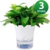 SKYARD® 3 Stuks Zelfwaterende Bloempot Maat M – Milieuvriendelijk Watergeefsysteem Kamerplanten – Zelfwatergevende Pot – Bloempot Met Waterreservoir – Selfwatering Pot – Wit 1 SKYARD® 3 Stuks Zelfwaterende Bloempot Maat M – Milieuvriendelijk Watergeefsysteem Kamerplanten – Zelfwatergevende Pot – Bloempot Met Waterreservoir – Selfwatering Pot – Wit -Tuin Kweekbenodigdheden 1200x1177 3