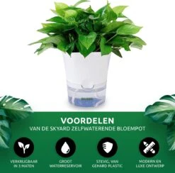 SKYARD® 3 Stuks Zelfwaterende Bloempot Maat M – Milieuvriendelijk Watergeefsysteem Kamerplanten – Zelfwatergevende Pot – Bloempot Met Waterreservoir – Selfwatering Pot – Wit 20 SKYARD® 3 Stuks Zelfwaterende Bloempot Maat M – Milieuvriendelijk Watergeefsysteem Kamerplanten – Zelfwatergevende Pot – Bloempot Met Waterreservoir – Selfwatering Pot – Wit -Tuin Kweekbenodigdheden 1200x1183 3
