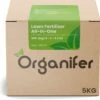 Gazonmest All-In-One (5Kg - Voor 100m2) Voor Een Diepgroen Sterk Gazon Zonder Mos En Onkruid - Complete Meststof Met Kalk En Grasversterker - Organifer 2 Gazonmest All-In-One (5Kg - Voor 100m2) Voor Een Diepgroen Sterk Gazon Zonder Mos En Onkruid - Complete Meststof Met Kalk En Grasversterker - Organifer -Tuin Kweekbenodigdheden 1200x1187 1