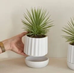 Riviera Maison Plantenbak Rond, Bloempot Met Ribbel - RM Let It Grow Planter - Wit - Porselein - Maat S 15 Riviera Maison Plantenbak Rond, Bloempot Met Ribbel - RM Let It Grow Planter - Wit - Porselein - Maat S -Tuin Kweekbenodigdheden 1200x1191 12