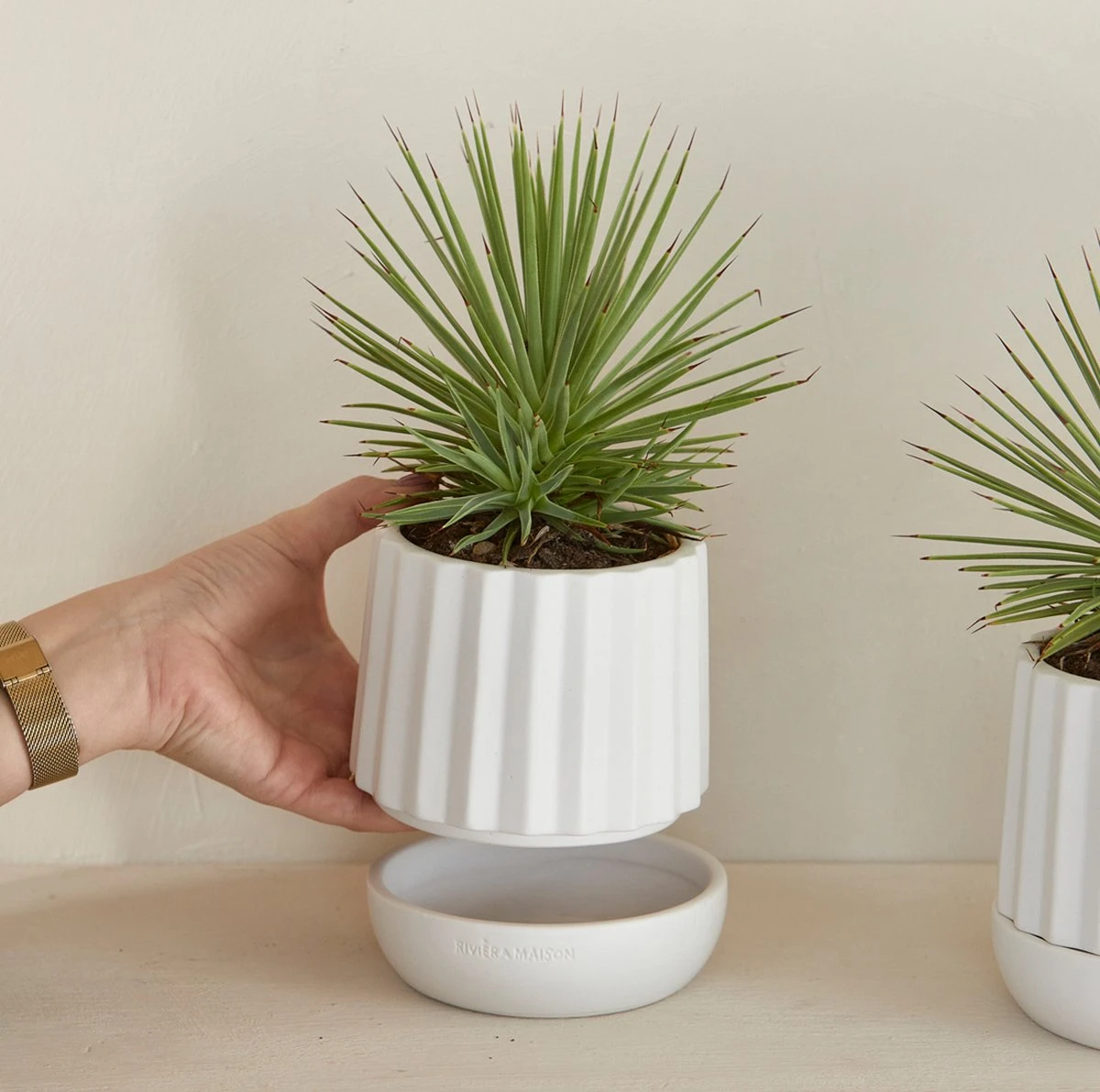 Riviera Maison Plantenbak Rond, Bloempot Met Ribbel - RM Let It Grow Planter - Wit - Porselein - Maat S 9 Riviera Maison Plantenbak Rond, Bloempot Met Ribbel - RM Let It Grow Planter - Wit - Porselein - Maat S - Afbeelding 7