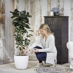 Elho Aqua Care 9 - Accessoires Voor Binnenaccessoires - Ø 17.3 X H 32.0 Cm - Transparant/Transparant 19 Elho Aqua Care 9 - Accessoires Voor Binnenaccessoires - Ø 17.3 X H 32.0 Cm - Transparant/Transparant -Tuin Kweekbenodigdheden 1200x1193 6