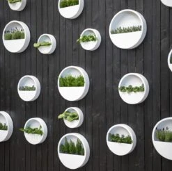 Langwerpige Witte Bloempot Van Naturn Living | Plantenbak | Bloempotten Voor Binnen En Buiten | Wit 8 Langwerpige Witte Bloempot Van Naturn Living | Plantenbak | Bloempotten Voor Binnen En Buiten | Wit -Tuin Kweekbenodigdheden 1200x1195 5