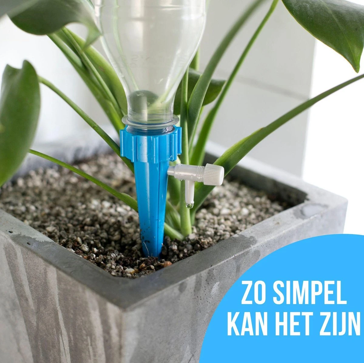 12 Stuks Plant Bewateringssysteem | Waterdruppelaar | Druppelsysteem |Bewateringssysteem | Bewateringsyteem Watergeefsysteem | Plantenbol | Automatische Gieter | Water Druppelaar | Druppel Systeem | Water Geef Systeem | Plantenbol | 14 12 Stuks Plant Bewateringssysteem | Waterdruppelaar | Druppelsysteem |Bewateringssysteem | Bewateringsyteem Watergeefsysteem | Plantenbol | Automatische Gieter | Water Druppelaar | Druppel Systeem | Water Geef Systeem | Plantenbol | - Afbeelding 12
