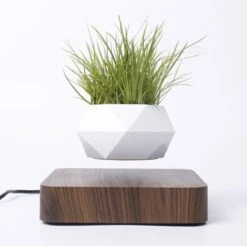 Floatey Design Plant | Zwevende Plant - Bloempot (levitation) 9 Floatey Design Plant | Zwevende Plant - Bloempot (levitation) -Tuin Kweekbenodigdheden 1200x1196 5