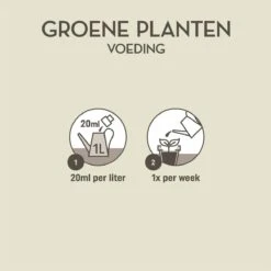 Pokon Groene Planten Voeding - 500ml - Plantenvoeding - 20ml Per 1L Water 9 Pokon Groene Planten Voeding - 500ml - Plantenvoeding - 20ml Per 1L Water -Tuin Kweekbenodigdheden 1200x1198 11