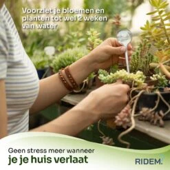 Waterdruppelaar Voor Planten - Irrigatiesysteem- Waterbol - Druppelsysteem - Watergeefsysteem Voor Kamerplanten - Plantenwatergever -6 Stuks - Transparant 12 Waterdruppelaar Voor Planten - Irrigatiesysteem- Waterbol - Druppelsysteem - Watergeefsysteem Voor Kamerplanten - Plantenwatergever -6 Stuks - Transparant -Tuin Kweekbenodigdheden 1200x1198 16