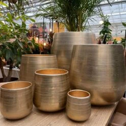 Merkloos Karakter Pot Alu Neo Gold ø40x40cm -Tuin Kweekbenodigdheden 1200x1198 19