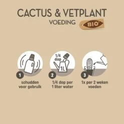 Pokon Bio Cactus & Vetplant Voeding - 250ml - Plantenvoeding (bio) - 7ml Per 1L Water 11 Pokon Bio Cactus & Vetplant Voeding - 250ml - Plantenvoeding (bio) - 7ml Per 1L Water -Tuin Kweekbenodigdheden 1200x1198 4