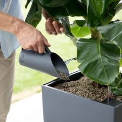 LECHUZA-PON 18 Liter - Hoogwaardig, Mineraal Plantensubstraat 9 LECHUZA-PON 18 Liter - Hoogwaardig, Mineraal Plantensubstraat -Tuin Kweekbenodigdheden 1200x1200 101