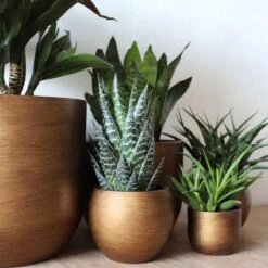 Capi Europe - Vaas Bol Retro - 30x25 - Goud - Bloempot Voor Binnen - BRTG104 16 Capi Europe - Vaas Bol Retro - 30x25 - Goud - Bloempot Voor Binnen - BRTG104 -Tuin Kweekbenodigdheden 1200x1200 1028