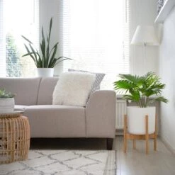 LifeGoods Planten Standaard - Uitschuifbare Bloempothouder - 20 Tot 30 Cm - Licht Bamboe -Tuin Kweekbenodigdheden 1200x1200 1048