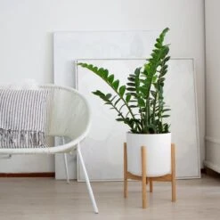 LifeGoods Planten Standaard - Uitschuifbare Bloempothouder - 20 Tot 30 Cm - Licht Bamboe -Tuin Kweekbenodigdheden 1200x1200 1049