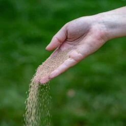 ECOstyle AZ Kalk Micro Korrel – Voor Gazon, Sier- En Moestuin - Corrigeert Zuurgraad Direct En Langdurig - Werkt Tegen Mos - CO2-Neutraal – 30 M² - 2 KG 21 ECOstyle AZ Kalk Micro Korrel – Voor Gazon, Sier- En Moestuin - Corrigeert Zuurgraad Direct En Langdurig - Werkt Tegen Mos - CO2-Neutraal – 30 M² - 2 KG -Tuin Kweekbenodigdheden 1200x1200 105