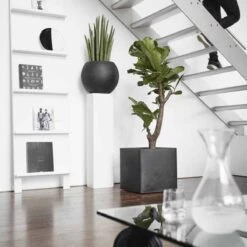 Capi Europe - Bloempot Vierkant Smooth NL - 40x40x40 - Zwart - Voor Binnen En Buiten - KBL903 20 Capi Europe - Bloempot Vierkant Smooth NL - 40x40x40 - Zwart - Voor Binnen En Buiten - KBL903 -Tuin Kweekbenodigdheden 1200x1200 1061