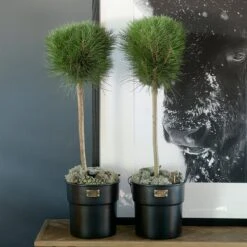 Riviera Maison Bloempot Voor Binnen Zwart - City Loft Flower Pot S -Tuin Kweekbenodigdheden 1200x1200 1069